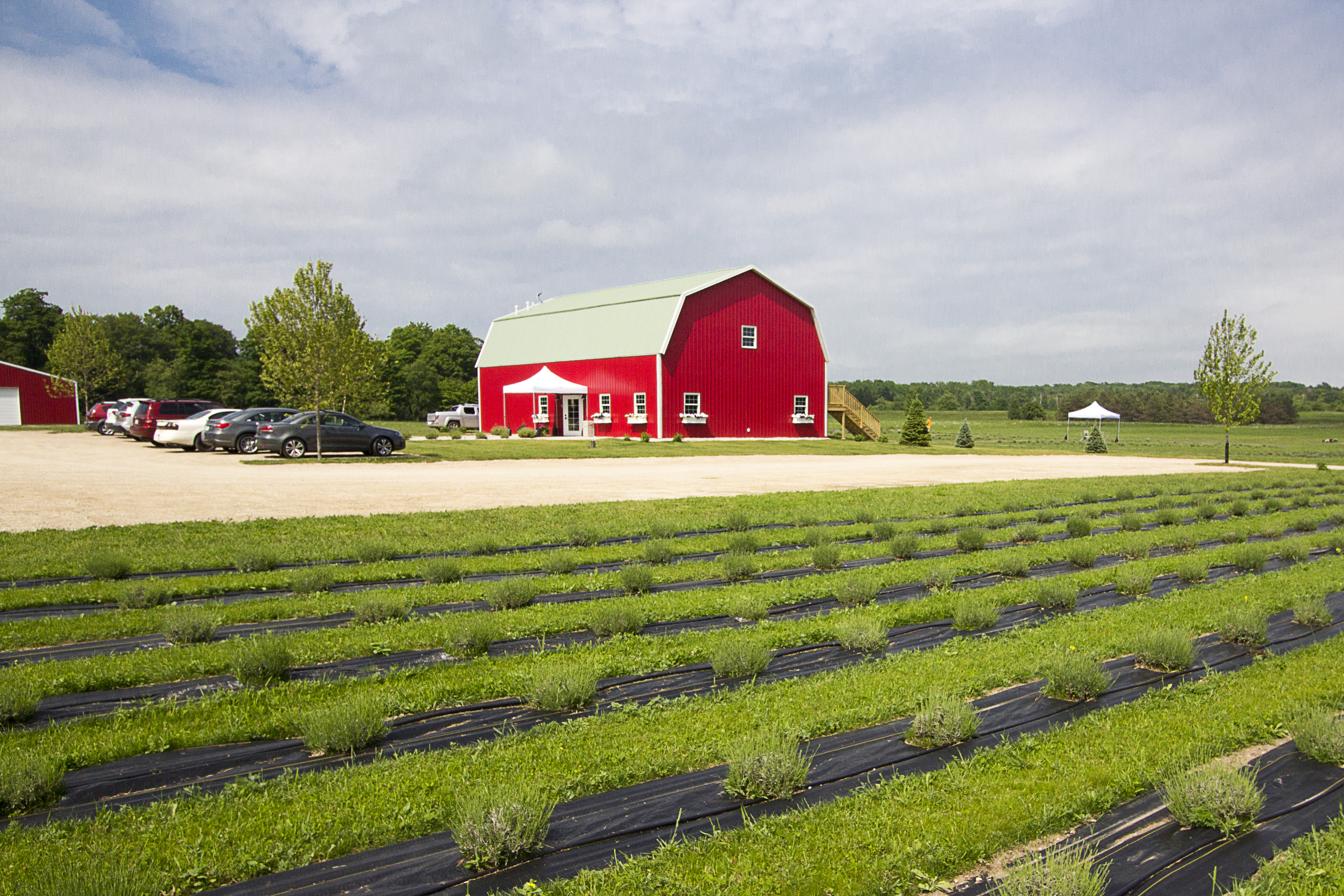Agricultural & Farm Buildings